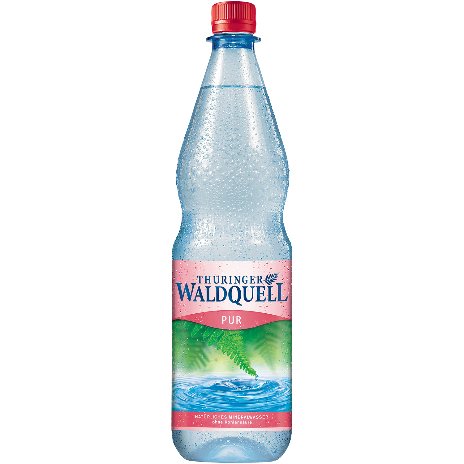 Thüringer Waldquell Pur Mineral Water | mineralwaterfit